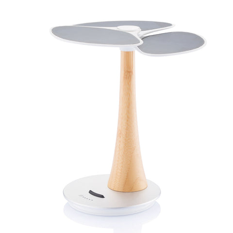 Ginkgo Solar Charging Station